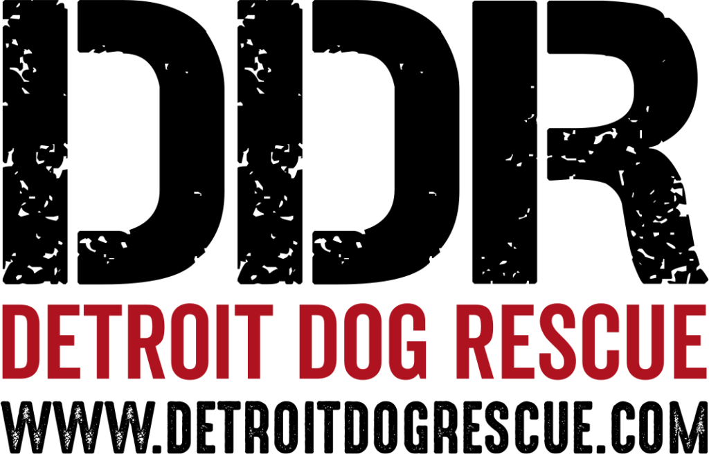 Detroit Dog Rescue
