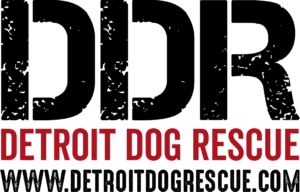 Detroit Dog Rescue