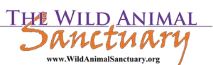 Wild Animal Sanctuary