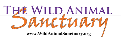 Wild Animal Sanctuary