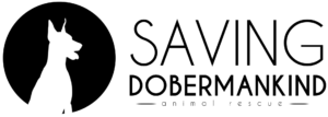 Saving Dobermankind